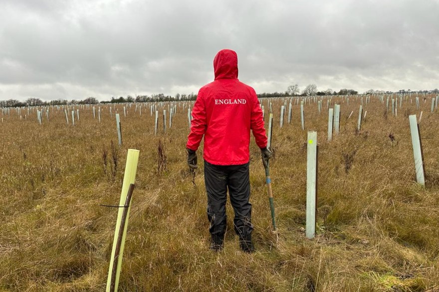 Commonwealth Games England staff take part in sustainable tree planting initiative